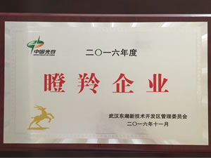 武汉天游ty8线路测试中心光电入选光谷2016年“瞪羚企业”